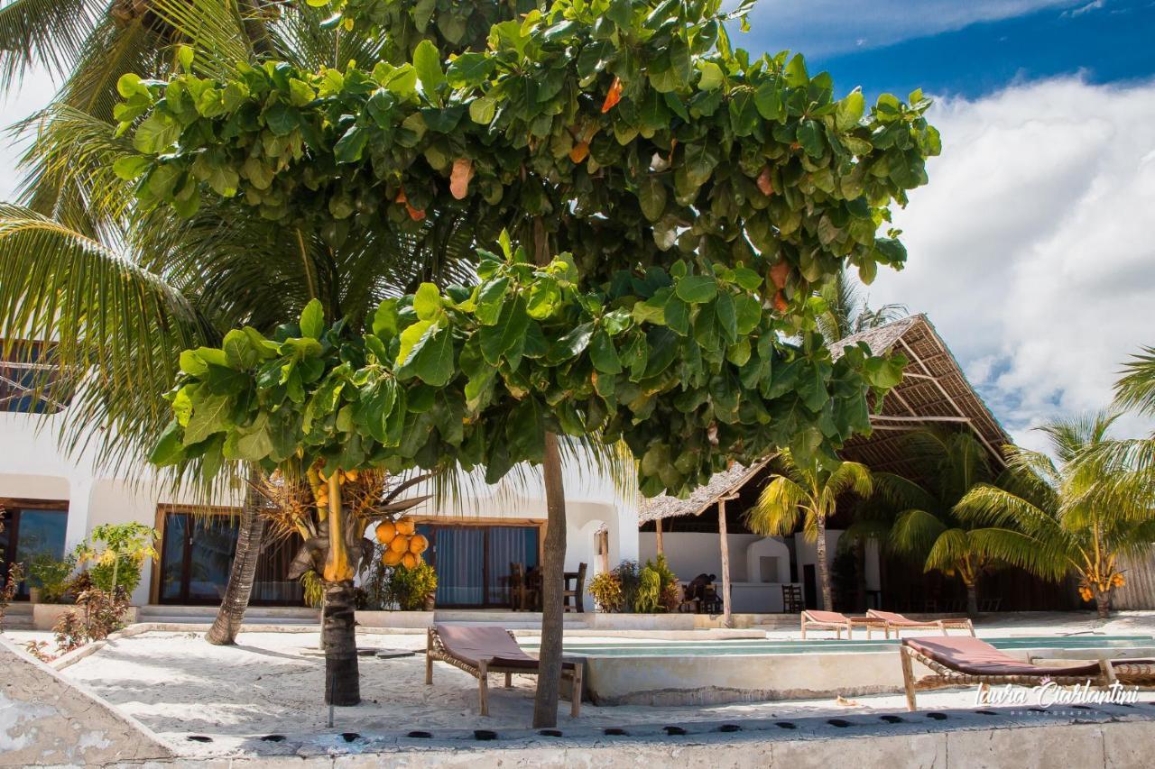 Uroa Zanzibar Vera Beach Hotel By Moonshine Dikoni Esterno foto